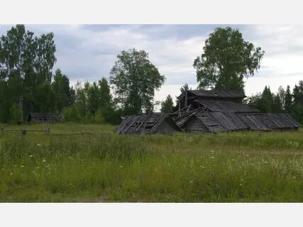 Погода в нижнем енангске