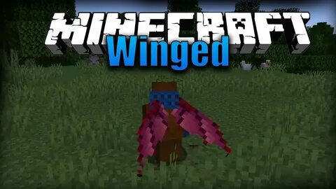 Elytra swap 1.16 5 forge