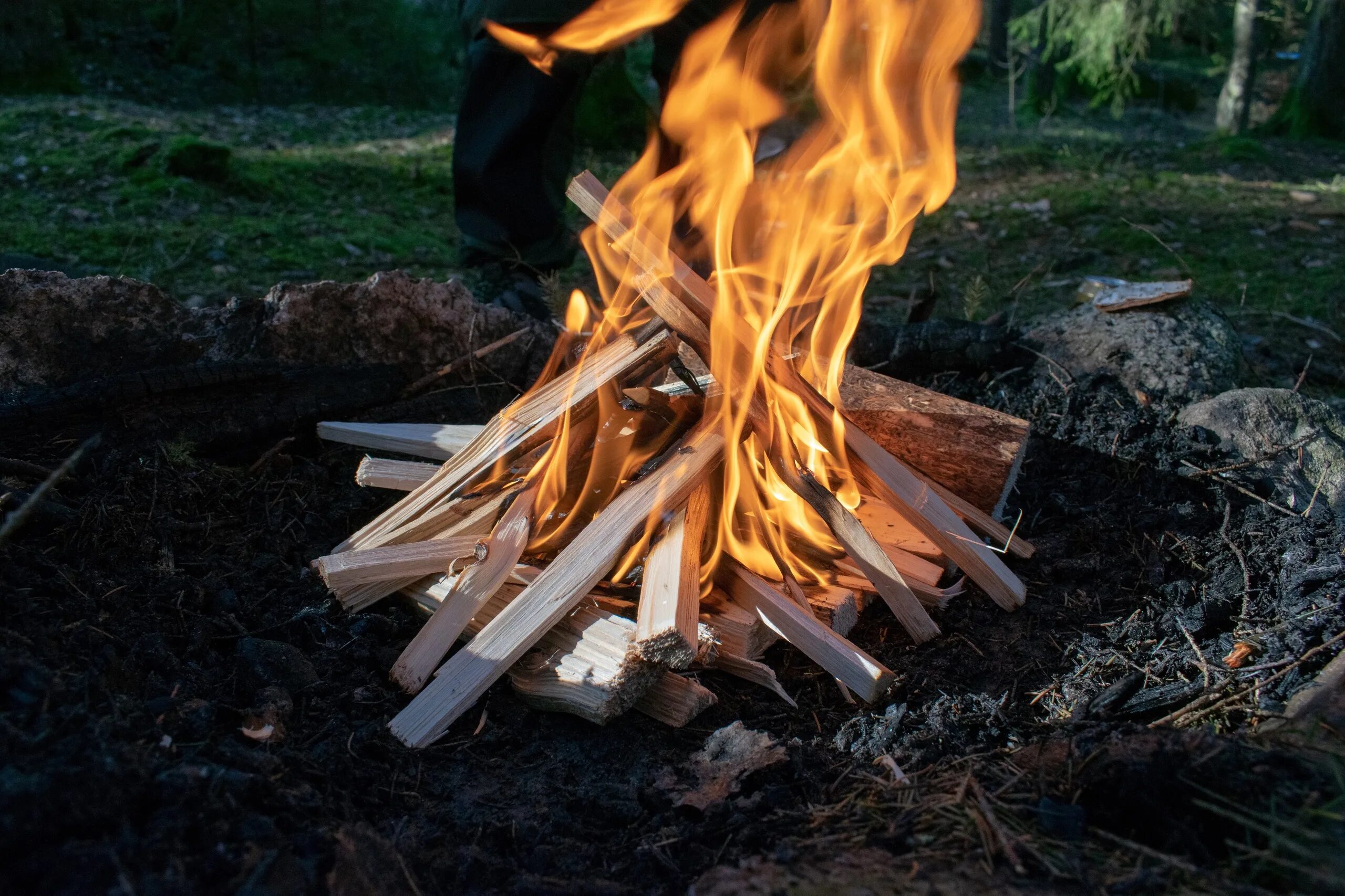 Открытый огонь на участке. Разжигание костра. Разжигать костер. Дрова для костра. Разжигание костра в лесу.