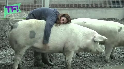 woman pig, pig, piggy tales, pig as a pet, pig farming, pig keeper, pig...