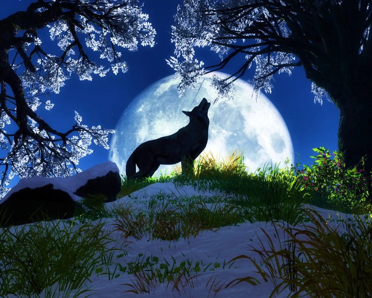 Волк и Луна. Волк в ночи. Волк воет на луну. Животные ночью. Вою под луной песня