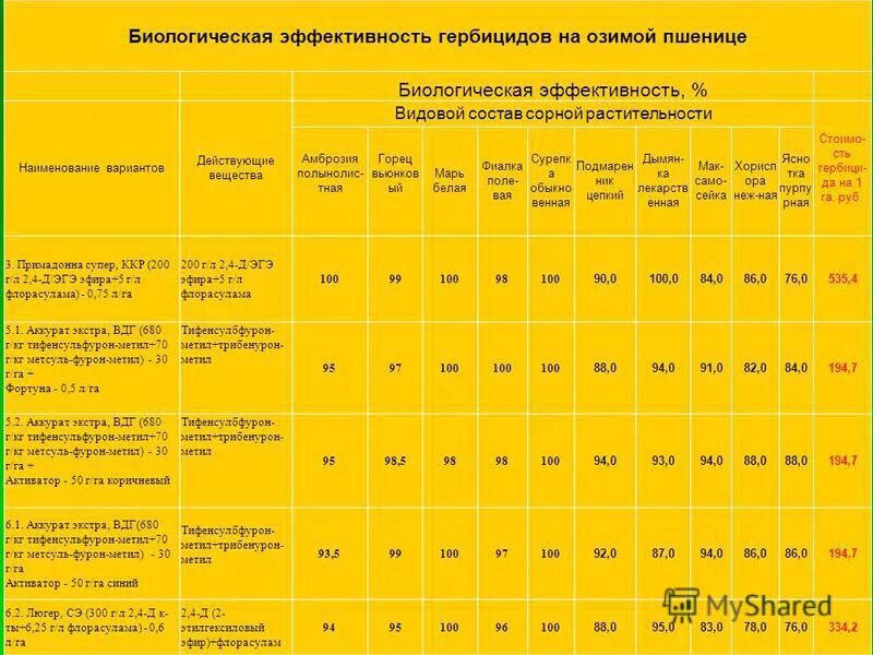 Гербициды по озимым. Эффективность действующие вещества гербицидов. Гербициды для озимой пшеницы. Действующие вещества гербицидов таблица. Эффективность гербицидов на пшенице.