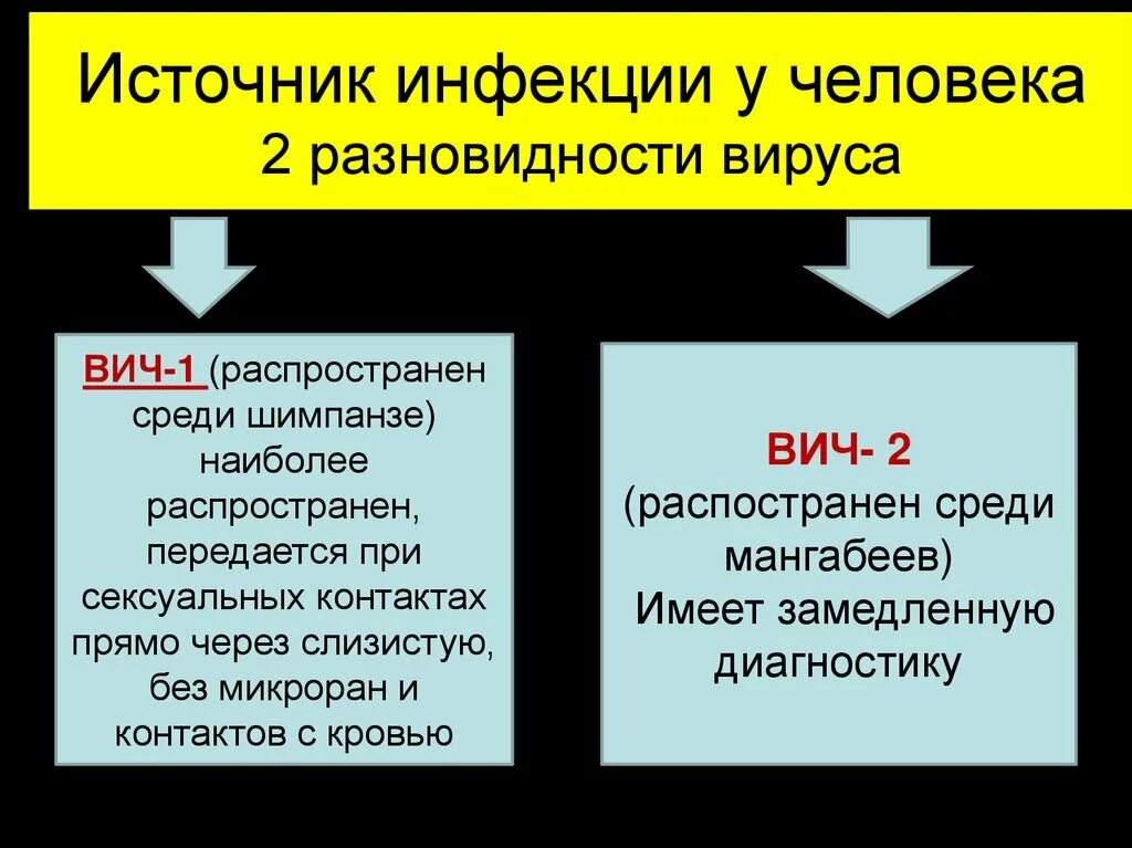 Вич инфицированный является источником заражения тест. Виды ВИЧ. Источник инфекции вируса ВИЧ. Типы ВИЧ инфекции. Источники заражения СПИДОМ.