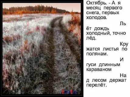 Ледяной дождь слова