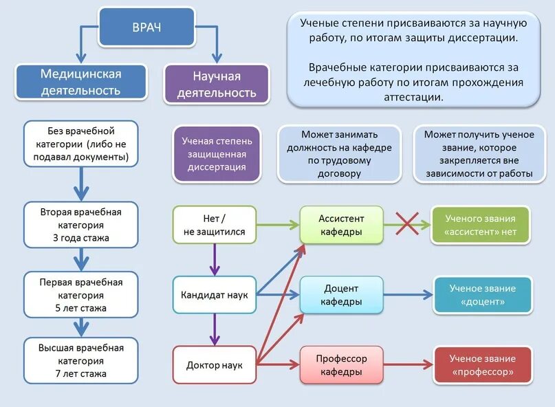 Медицинские степени врачей. Иерархия в медицине. Иерархия врачей в медицине. Медицинское образование иерархия. Иерархия должностей врачей.