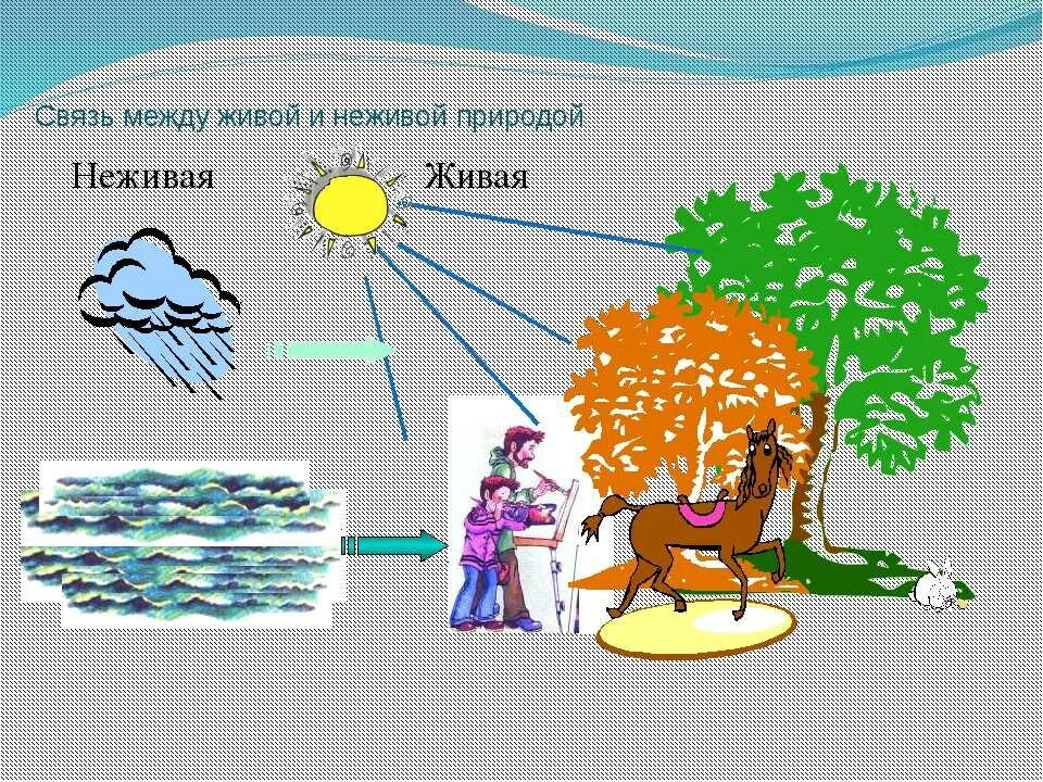 Схема связи живой и неживой природы. Схема связи между живой и неживой природой 2 класс. Схема связи между живой и неживой природой 2 класс окружающий мир. Схема связи живой и неживой природы 2 класс окружающий. Нарисуй схема природа