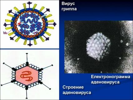Грипп аденовирус