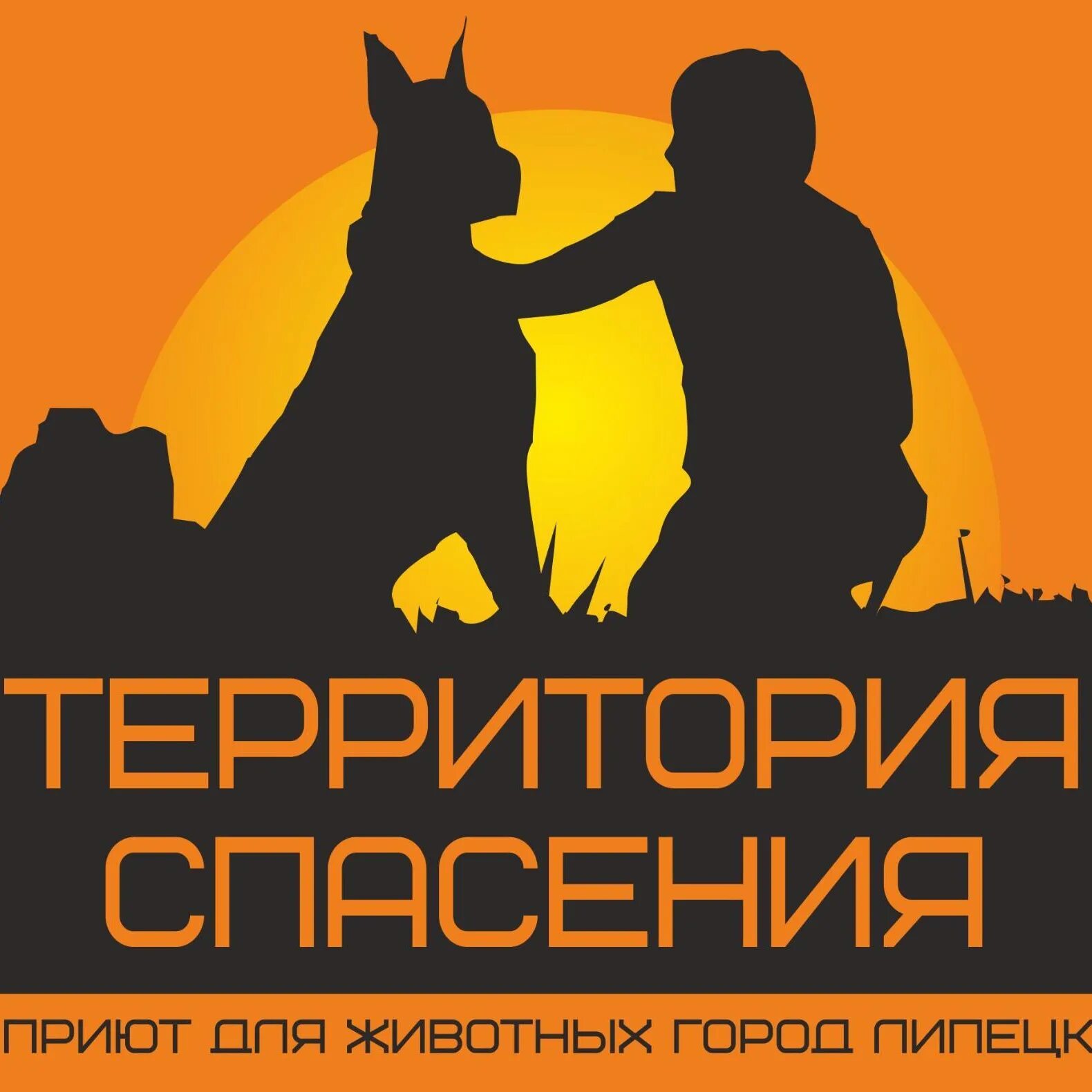 Территория спасения животных липецк. Приют территория спасения липецк. приют для животных территория спасения липецк. приют для животных в липецке.