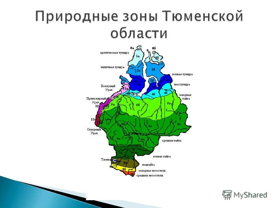 Тюмень какая природная зона