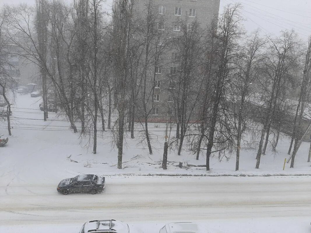 Метель закончилась. Снегопад в Воронеже. Метель в Белгороде. Метель в Воронеже. Метель в Липецке.