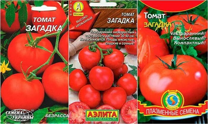 Томат сорт загадка описание сорта фото. Помидор сорт загадка. семена томат загадка розовая. семена томат загадка. сорт загадка томат.