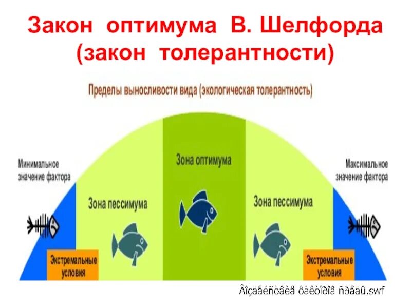 Закон толерантности в экологии. Закон экологического оптимума Шелфорда. Закон оптимума экология. Закон толерантности оптимума. Законы экологии факторов