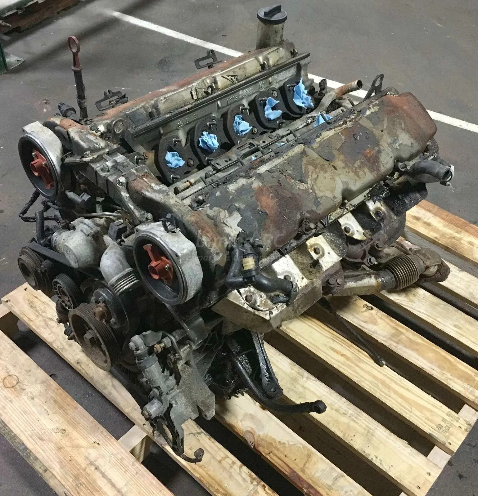 12 двиг. Двигатель БМВ 6.6 v12. BMW v12 engine. БМВ в12 мотор. V12 двигатель BMW.