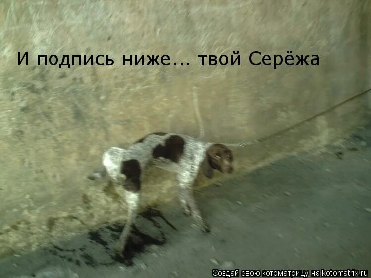 Твой серёжа. Серёжа сказал что я красивая. Здорово серега. Не грусти обнимаю. Подпись твой сережа.