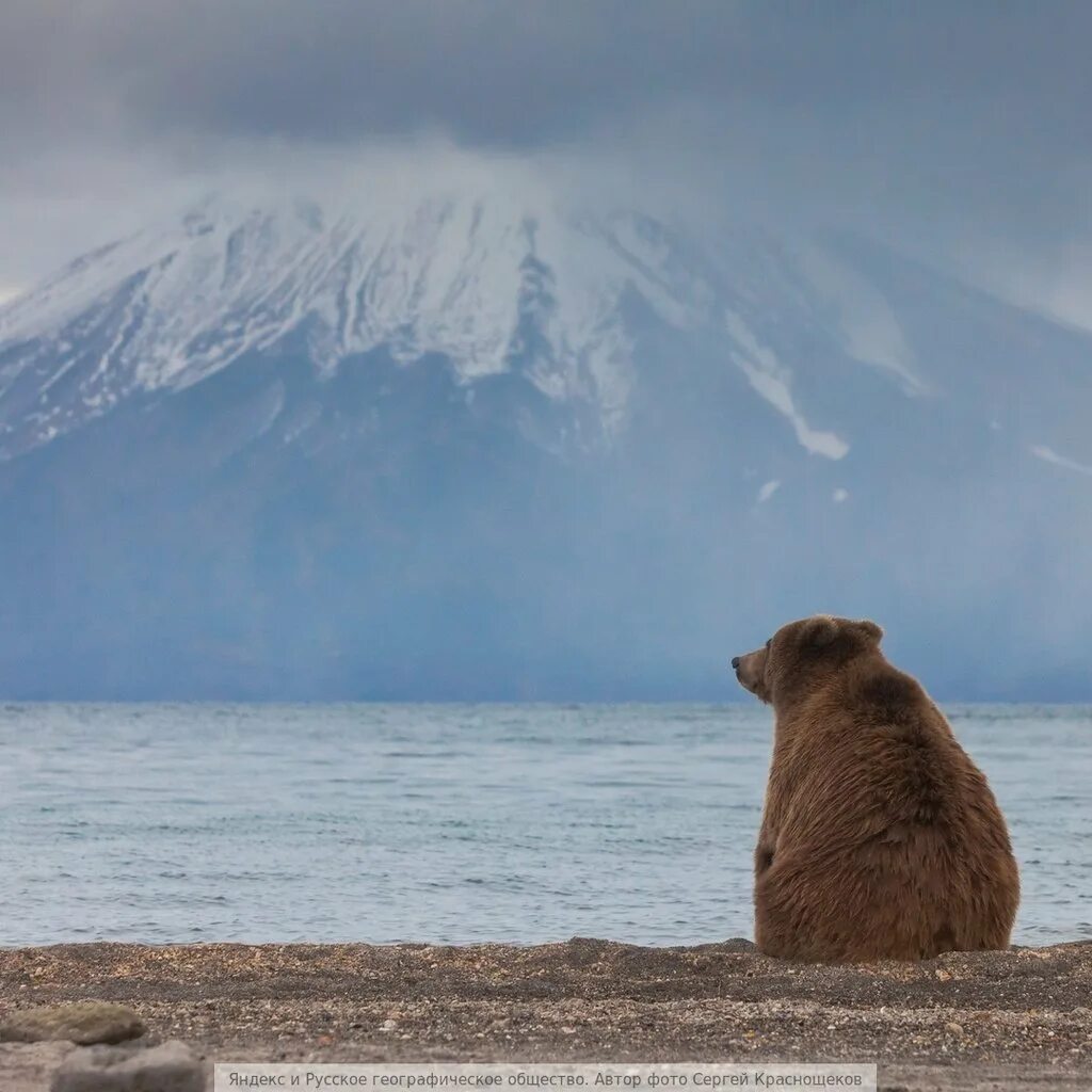 Поговорка труп твоего врага. Ждать когда проплывет тело твоего врага. Китайская поговорка про труп врага. Проплывет труп врага. Деньги мимо проплыли приколы.