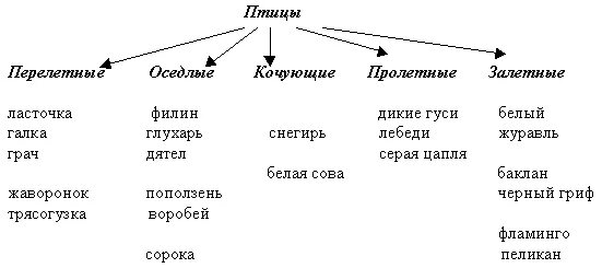 Классификация птиц 7 класс биология. Класс птицы систематика. Отряды птиц 7 класс схема. Систематика птиц 7 класс биология.