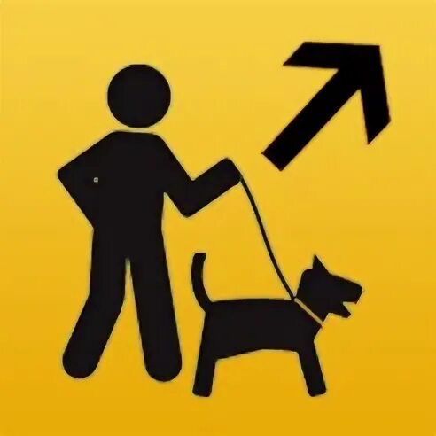 Where is your dog