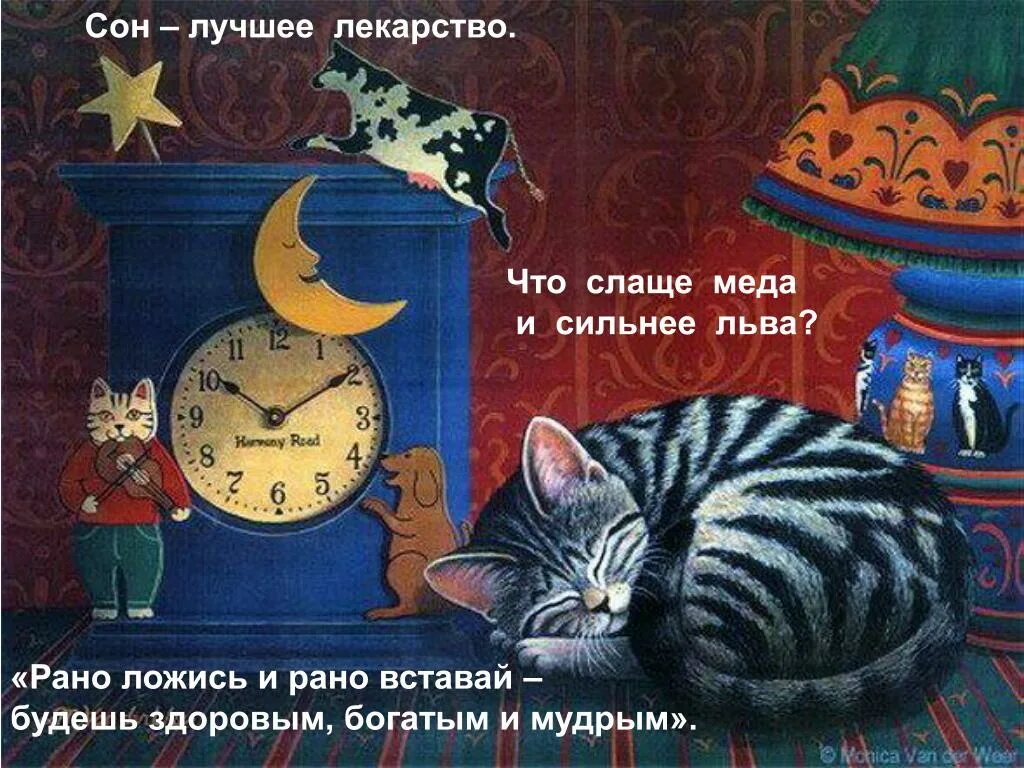 кот и часы. кошка проснулась. кот с часами. кот и часы. кот будильник.