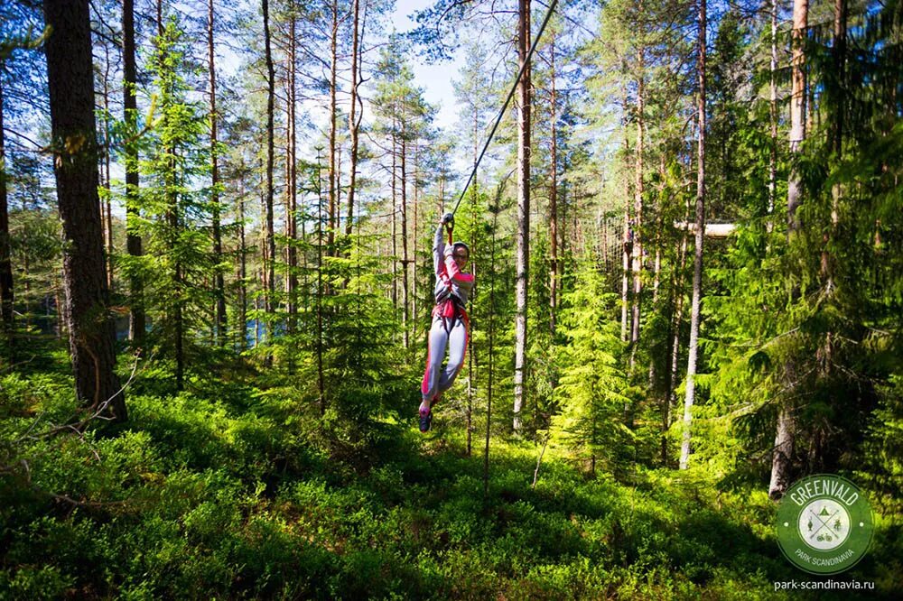 Парк скандинавия. Веревочный парк Скандинавия Greenvald. Гринвальд парк Скандинавия. Верёвочный парк Гринвальд парк. Гринфилд парк Скандинавия.