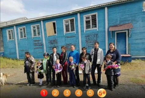 Голубов пахачи пикабу