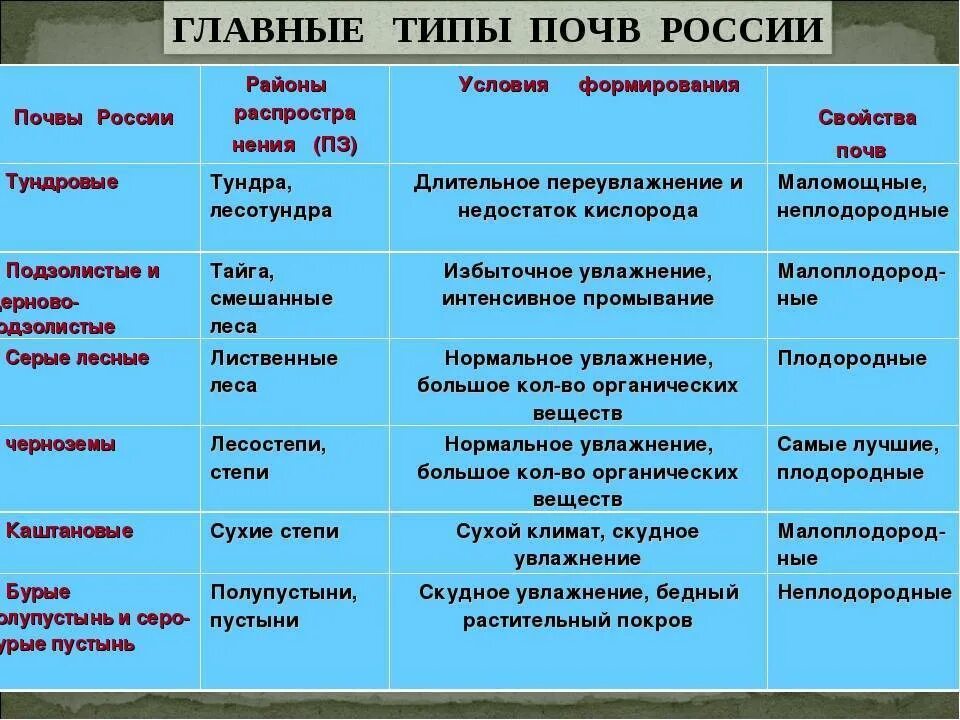 Установите соответствие природная зона характерная почва. Характеристика типов почв РФ. Характеристика почв России таблица 8 класс. Основные типы почв России таблица 8 класс география. Типы почв России условия формирования.