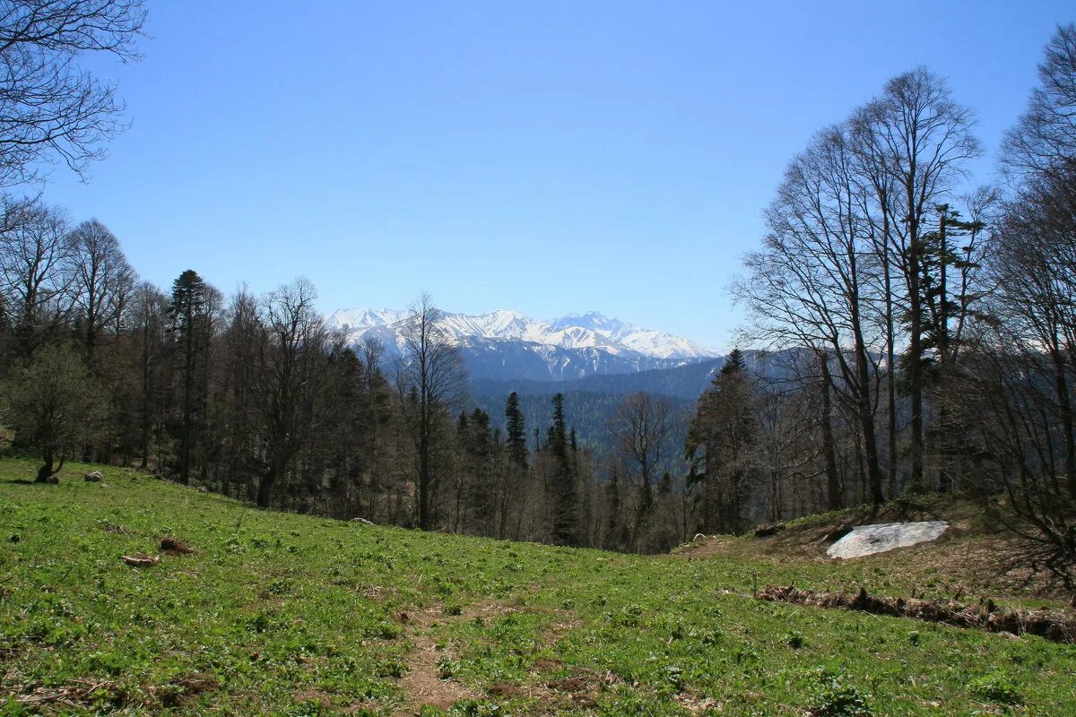 адыгея в апреле фото. альпийские луга лагонаки. лысая гора теберда. весенняя адыгея лога наки.
