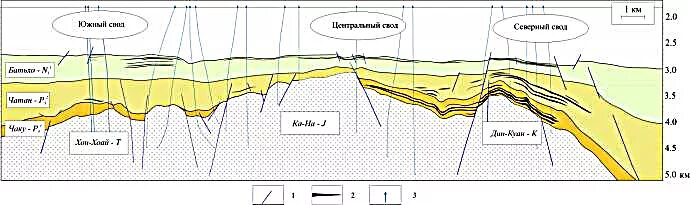 Генезис месторождения. Месторождение белый тигр разрез. Геологический разрез месторождения белый тигр. Разрез месторождения нефти. Месторождение белый тигр Геология.