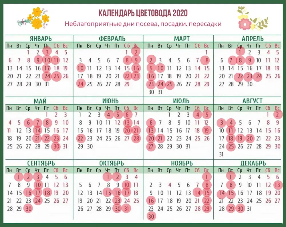 Лунный календарь пересадка комнатных растений 2020. Лунный календарь для комнатных растений 2021. Календарь пересадки комнатных растений на 2021. Календарь пересадки комнатных растений на 2020 год таблица.
