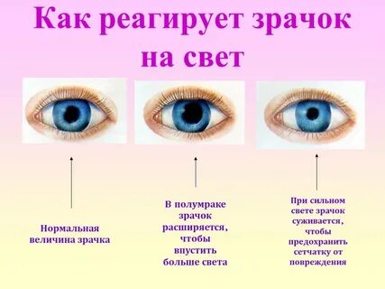 Причины увеличения глаза