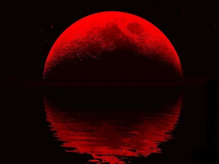 Кровавая луна арт. Кровавая луна / bloodmoon (1997). Красная луна. Bloody moon. Красная луна 2022.
