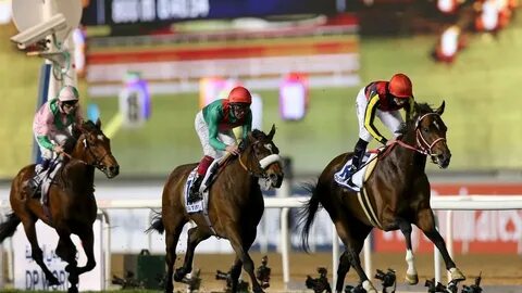 Dubai world cup
