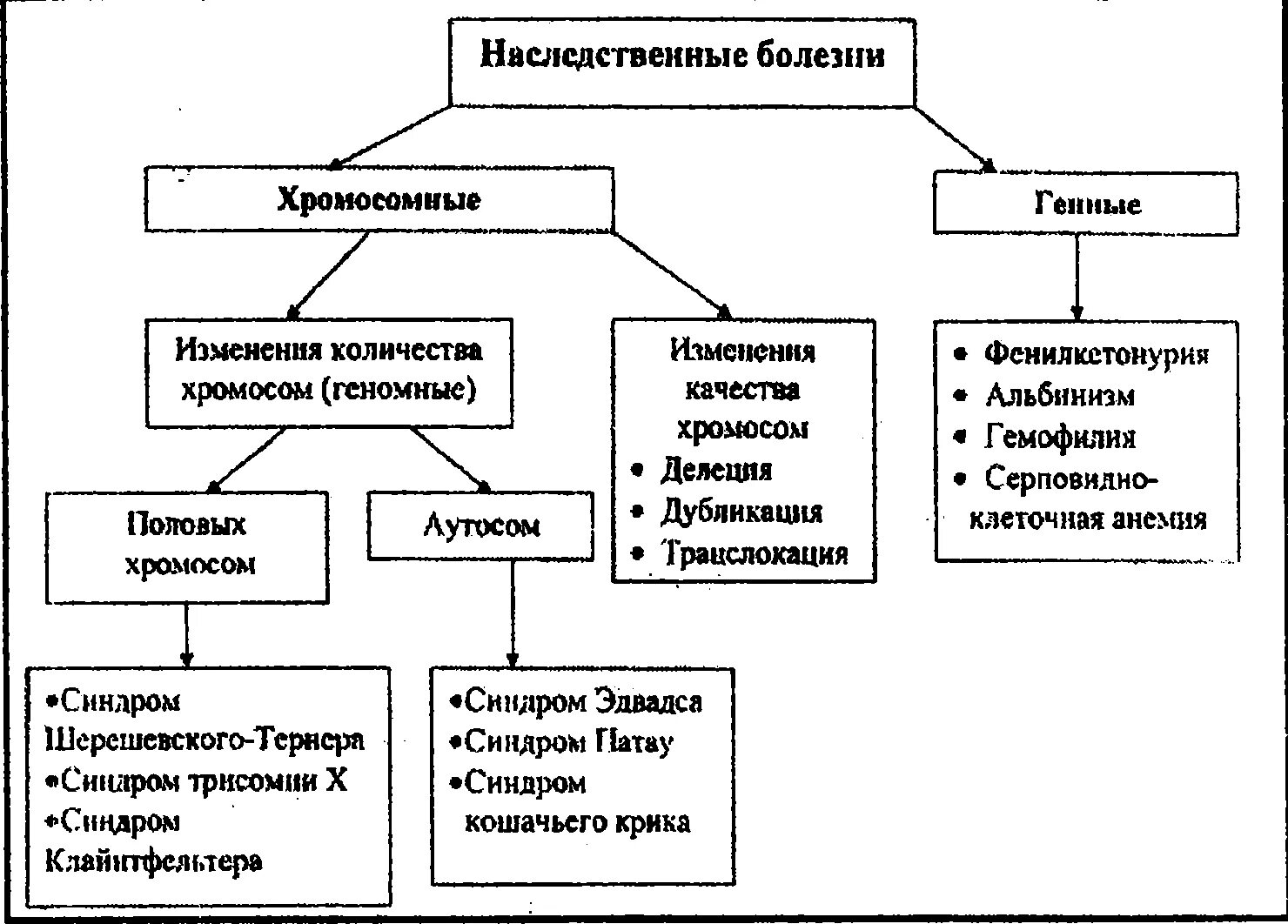 Генные и хромосомные заболевания. Типы наследования хромосомных заболеваний. Наследственные заболевания по типу наследования схема. Классификация наследственных болезней таблица. 1. Классификация наследственных болезней человека.