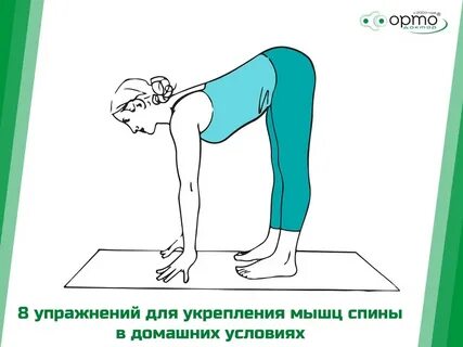 Наклон туловища вперед стоя