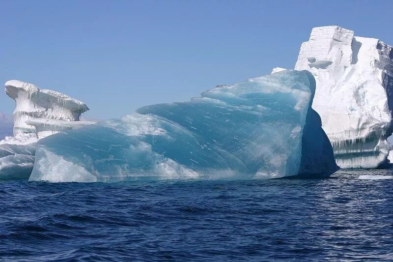 Шестой материк антарктида. Природа антарктиды презентация. Презентация по географии антарктида. Особенности природы антарктиды. Природа антарктиды 7 класс презентация.