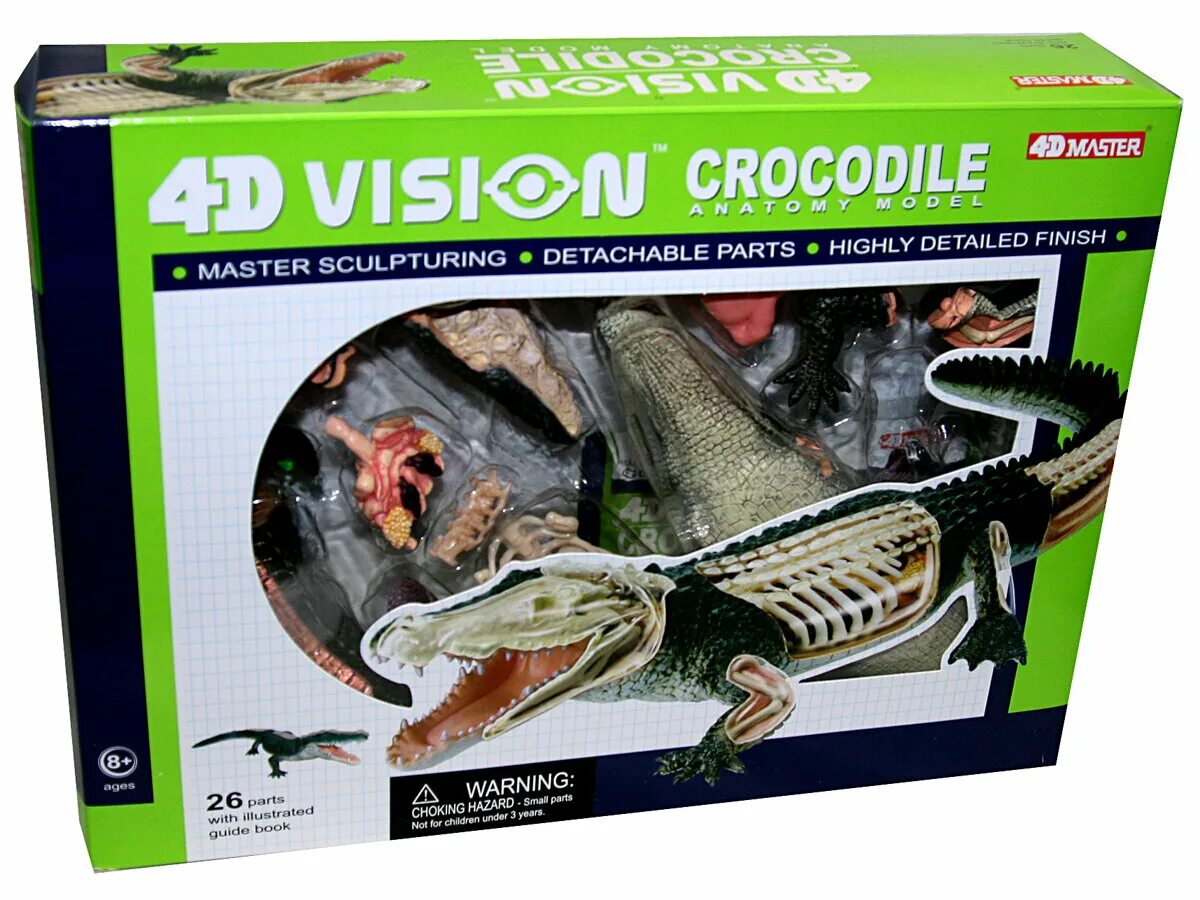 игрушку 4 д мастер. 4d master анатомическая модель. 4d master. объемный пазл 4d master "тигр" анатомическая модель, 26005z, 28 шт. 4d master / пазл "анатомическая модель собаки".