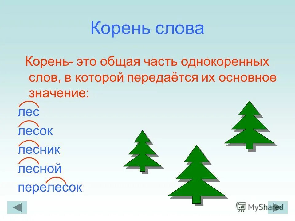 Однокоренные слова. Родственные слова лес. Однокоренные слова схема. Лес родственные слова подобрать.