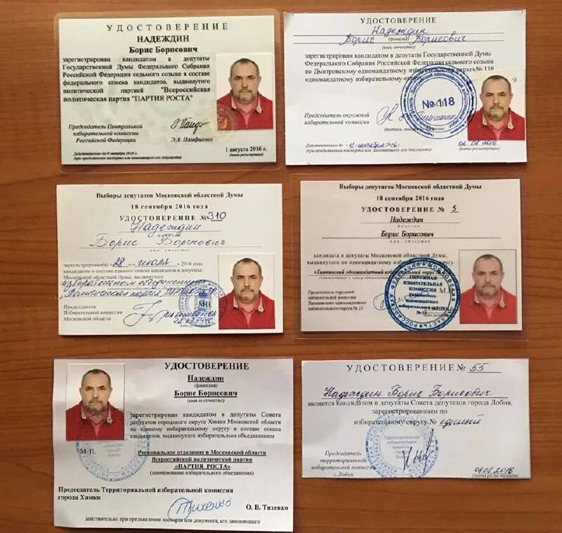 надеждин решение цик