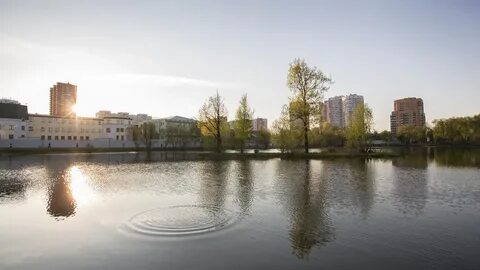 Пруды в реутове