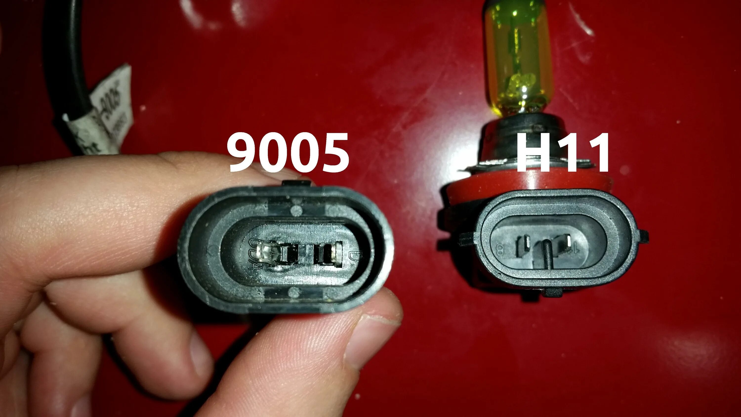 H11 vs 9005. Н11 лампа ближнего света. Лампочка Фиат Добло Ближний свет. Патрон для лампы 9006/h10.