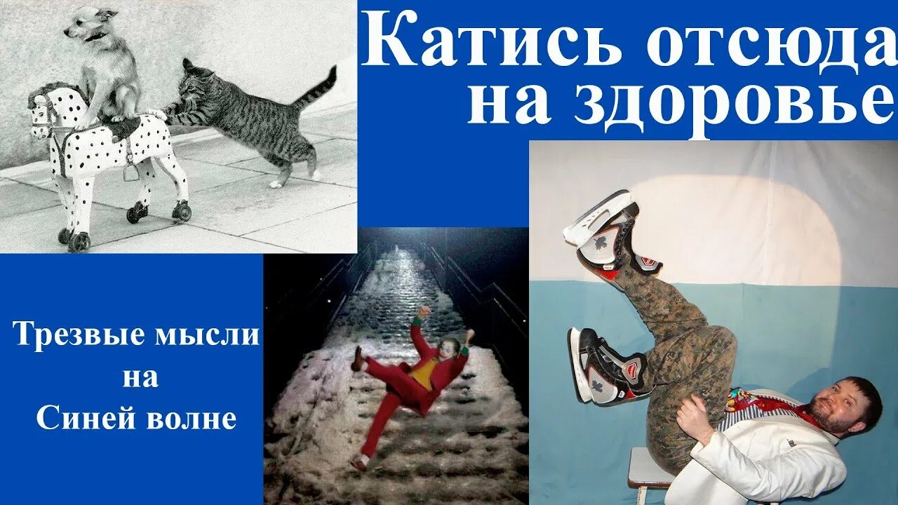 Коты отсюда. Катись отсюда Мем. Картинка катись отсюда. Катись отсюда Мем кот.