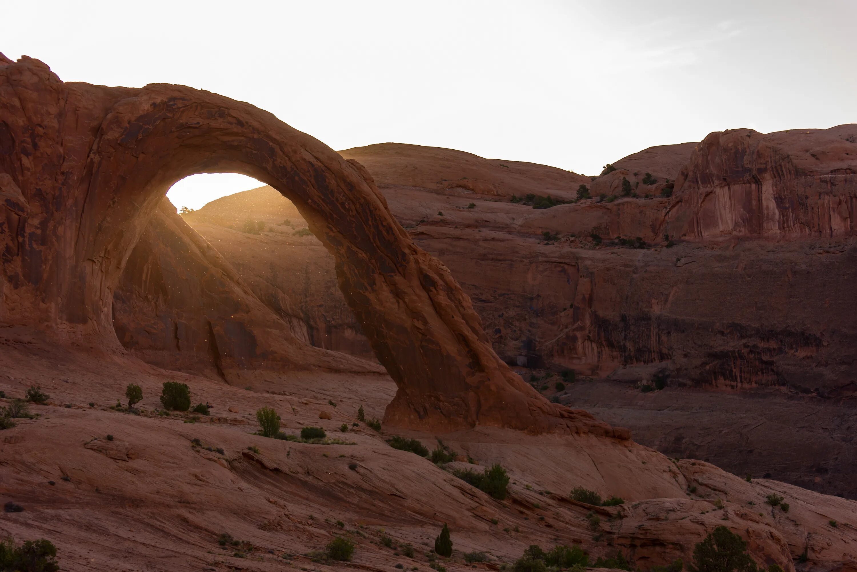 Гранд каньон арка. Арка в Синайской пустыне. Corona Arch Utah. Парк Долина огня Невада.