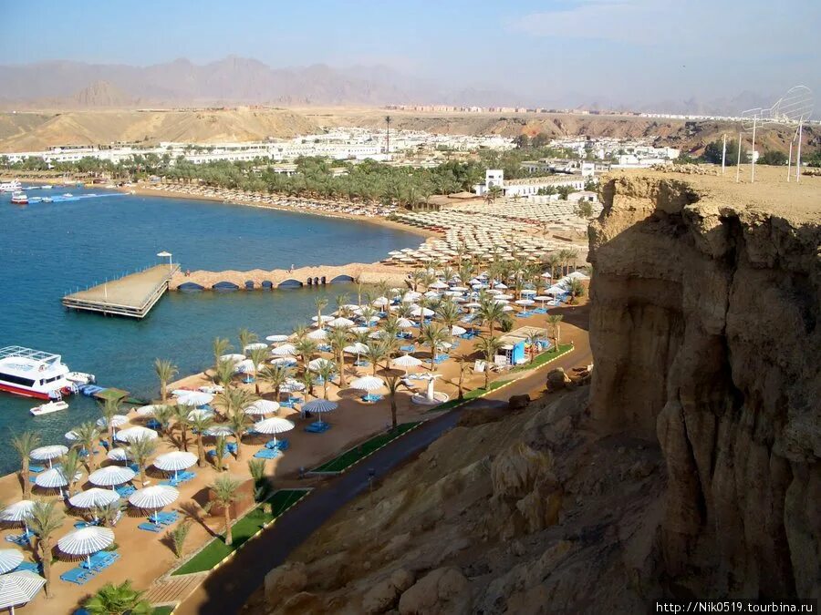 Альбатрос шарм шейх. Albatros aqua park 5 шарм-эль-шейх. Альбатрос египет шарм-эль-шейх 5. Египет отель альбатрос шарм-эль-шейх аквапарк 5*. Отель египет albatros aqua.