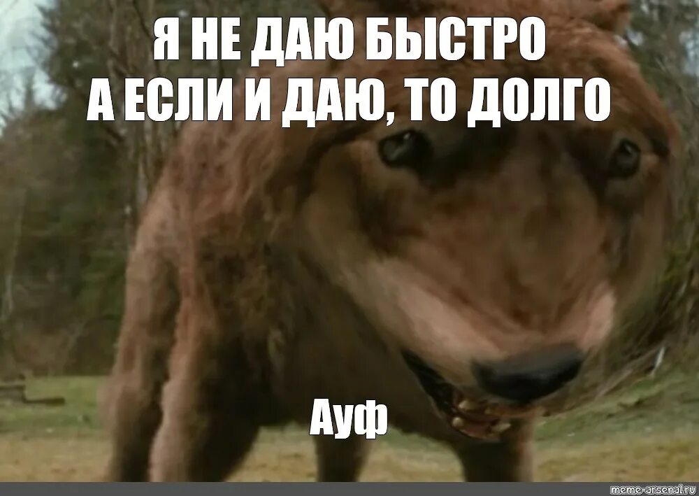 Давай быстрее дорогой давай быстрее