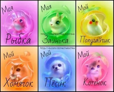 Отметка друзей