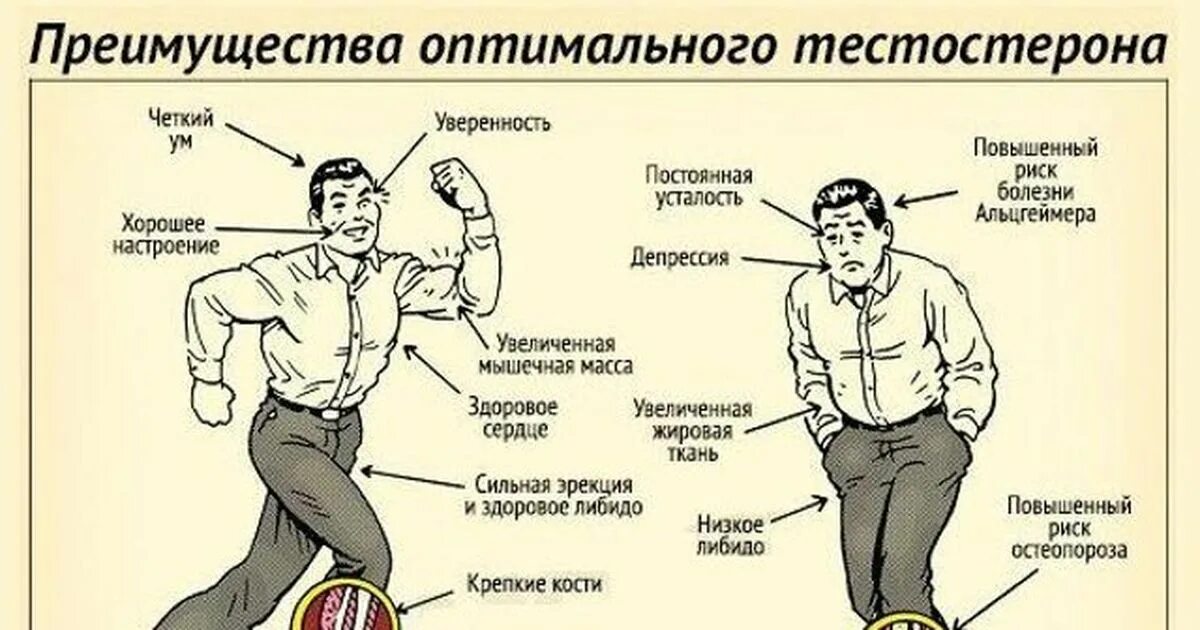 Девушки с высоким уровнем тестостерона. Повышенный тестостерон. Препараты для понижения уровня тестостерона у мужчин препараты. Что повышает тестостерон. Повышенный тестостерон.