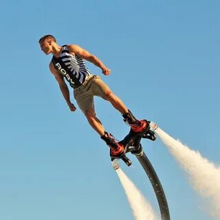 Fly is flying