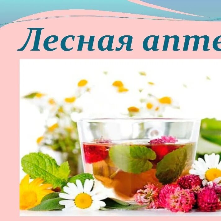 Лесная аптека 2 класс окружающий мир. Презентация лесная аптека. Лесная аптека. Лесная аптека. Лес аптека.