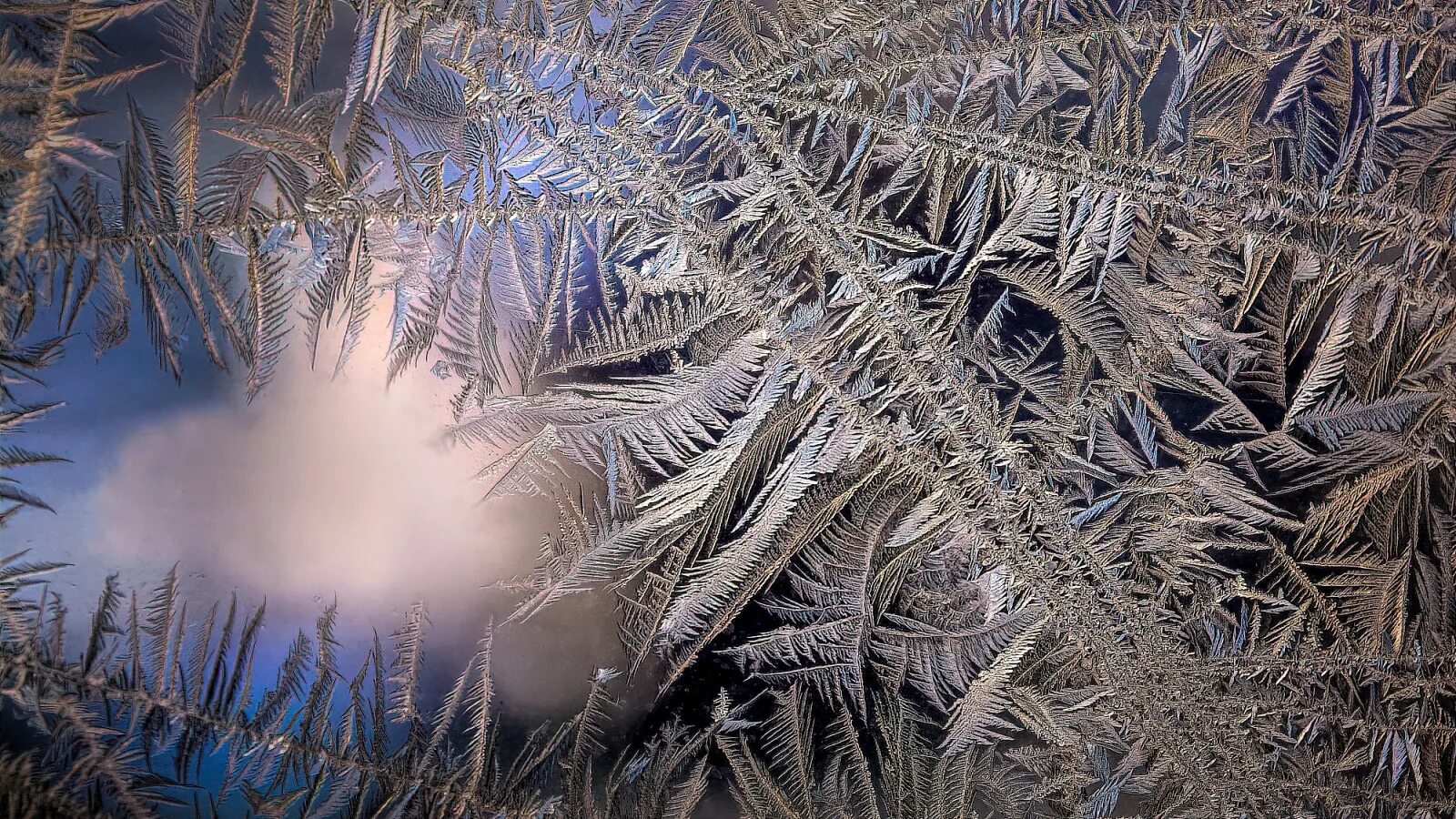 Морозные узоры на стекле. В начале как пишется. Растения зимой. Морозные узоры на окне. Морозные узоры.