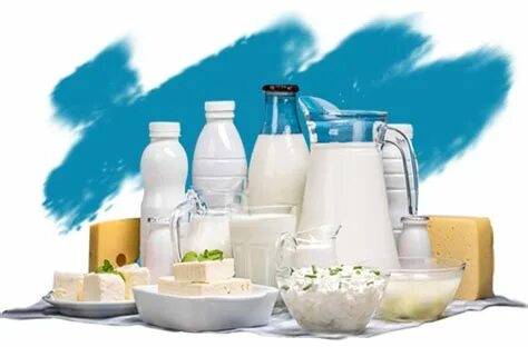 Предлагаем молочные продукты
