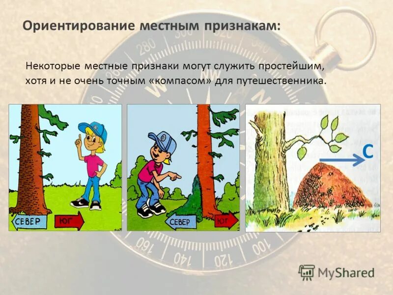 По каким признакам определяют горизонт. Ориентирование по признакам природы. ориентир по природным признакам. ориентирование по природным признакам. ориентир на местности по природным признакам.